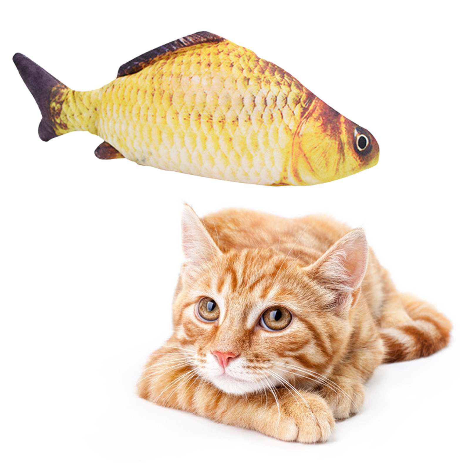 Jouet pour chat poisson électr - Power Tools Cat avis et prix