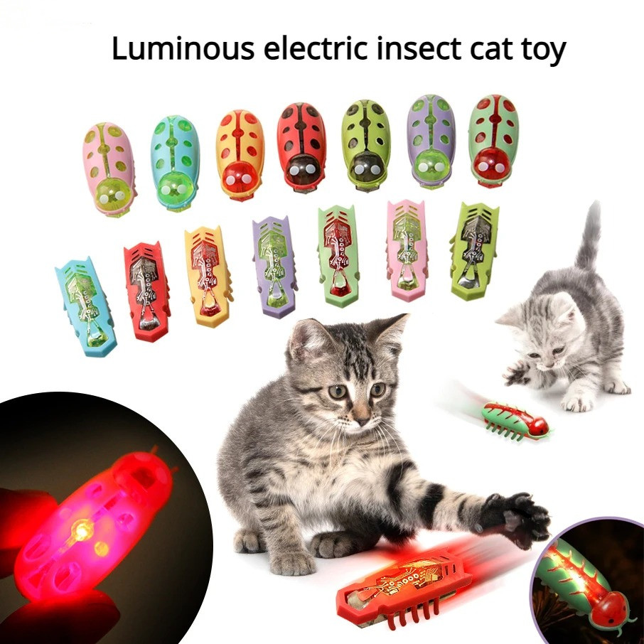 Jouets pour chats : Vers élect - Power Tools Cat avis et prix